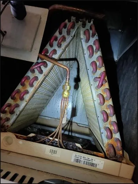 Dirty evaporator coil — HVAC maintenance
