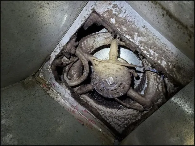 Dirty blower housing — before cleaning